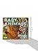 Jigsaw puzzle book, Baby Animals, 10 Jigsaws