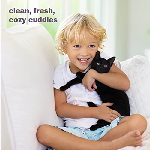 Mighty Meow Waterless Cat Shampoo, NoRinse Dry Shampoo for Cats