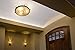 CBconcept - 10 Bulbs - 12V 20 Watts, AC/DC JC T3 G6.35 Bi-Pin 20W Halogen Light Bulb, Accent Lighting, Chandelier, Puck Light, Microwave, Range, RV, Landscape Lighting - Designed in CA