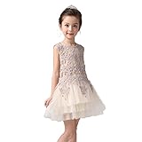 Little Toddler Flower Girl Dress for Wedding Prom Party Short Champagne Tulle Hollow Flower Girls Dresses (Champagne,Size 3T)