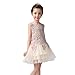 Little Toddler Flower Girl Dress for Wedding Prom Party Short Champagne Tulle Hollow Flower Girls Dresses (Champagne, 4)