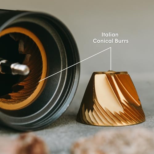 Best Bean Grinder 2026: Research-Backed Picks for Most Home Kitchens 8 bean grinder detail image