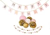 Paper jazz Birthday Party Decoration Happy Birthday Bunting Banner Pom Poms lantern (PINK)