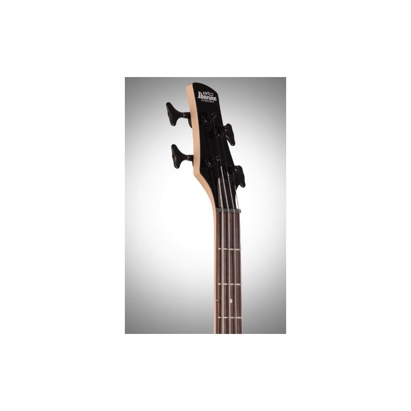 Ibanez GSR 4 String Bass Guitar, Right Handed, Walnut Flat (GSR200BWNF
