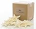 Real Starfish | 12 Real White Knobby Starfish 2