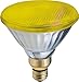 GE Lighting 20945 85-Watt PAR38 Outdoor Incandescent Bug Lite