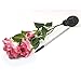 LED Concepts SLR-RSPI Solar Powered Garden Outdoor Decorative Landscape Lights Year, Pink Rose