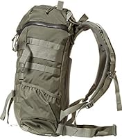 mystery ranch 1 day assault pack