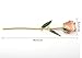 M Dream Valentine Gifts for Her, Long Stem Trimmed 24K Gold Dipped Real Rose Champagne 11 Inches Set of 1,Best Gift for Valentine's Day, Mother's Day, Anniversary, Birthday