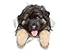 Winston & Bear 2 Pack German Shepherd 3D Dog Stickers - Realistic Vinyl Wall Decals for Home, Car & More - Black
