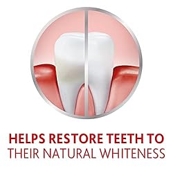 Parodontax Active Gum Repair Whitening Toothpaste