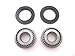 Swingarm Bearings and Seals Kit Honda TRX250 Recon 1997-2012