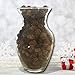 Natural Brown Pinecones - About 375 Pieces (1/2 lb. Bag) - Assorted Sized Pine Cones - DIY Crafts Measures from 1/4