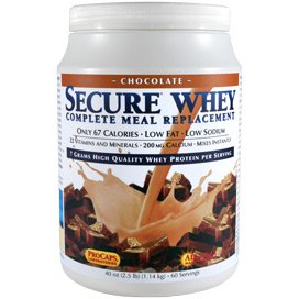 ANDREW LESSMANSecure Whey Complete Meal Replacement - Chocolate 60 Servings - Only 67 Calories, 7 Grams Whey Protein, Vitamins/Minerals, Low-Fat, Nutritious, Delicious, Mixes Instantly