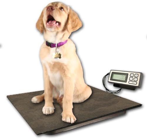ZIEIS | 150 Lb. Capacity | Large Pet Series - Digital Dog Scale | P150-DURA1916 | 19" X 16" BigTop Dura Platform | Mountable and Adjustable LCD Bracket | 0.1 Lb. Accuracy