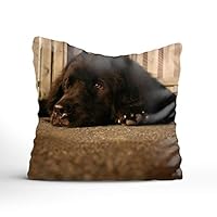 Atokker Newfoundland Dog Print Cushions Case Throw Pillow Cover for Sofa Home Decorative Pillowslip Gift