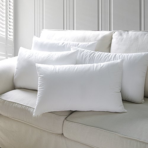 4 Phantoscope+Pillow+Inserts+Hypoallergenic+Stuffer