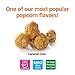 Popcornopolis Gourmet Popcorn 1.26 Gallon Tin with Caramel Corn, Halloween