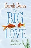 Front cover for the book The Big Love by Sarah Dunn