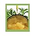 Psoriasis Soften Scalp Vinegar Rinse Cleanser | Best Scalp Cleanser | Loaded with Great Ingredients