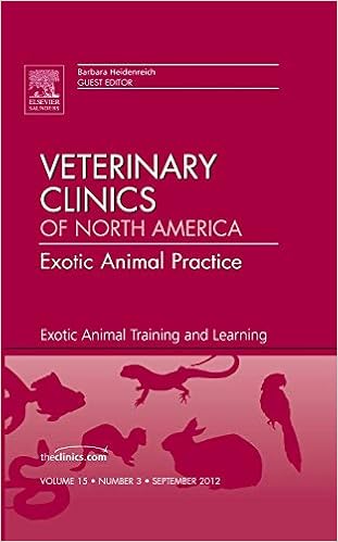 exotic animal practice