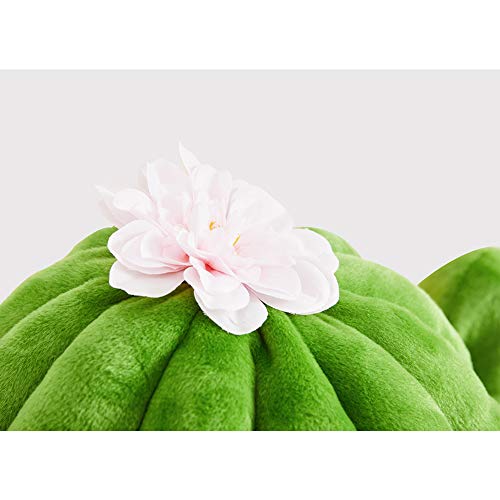 VETRESKA Cat Caves for Indoor Cats Cozy Cave Dog Bed Cat Cactus Bed with Removable Washable Cushioned Pillow Green