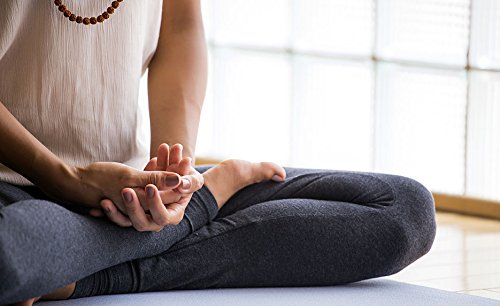 Certificate in Meditation