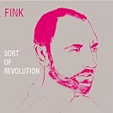 Fink (UK) - Sort of Revolution