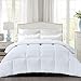 Brermer Soft Queen Goose Down Alternative Comforter, All Seasons Puffy Warm Duvet Insert with 8 Corner Tabs, Luxury Reversible Hotel Collection, 88
