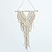 Ricdecor Dream Catcher Wall Hanging Car Hanging Decoration Ornament (White)