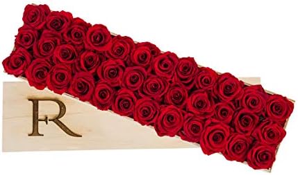 Flower Republic's Preserved Roses | Real Roses That Last a Year | Luxury Gift