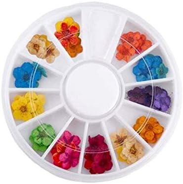 King.MI 12 Colors Dried Flowers Decoration Nail Art Sticker DIY Tips (B)
