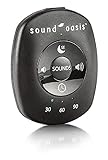 Sound Oasis World’s Smallest Sound