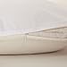 LILYSILK 19mm Silk Pillowcase for Hair and Skin with Cotton Underside Standard/Queen 20x30 Inch Ivory 1pc
