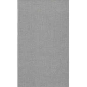 Rendezvous with Rama