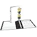 Avery Despicable Me Durable View Binder, 1