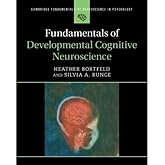 Fundamentals of Developmental Cognitive Neuroscience (Cambridge Fundamentals of Neuroscience in Psychology)