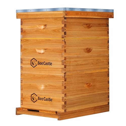 BeeCastle 10-Frame Langstroth Bee Hive