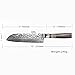 Bigsun Santoku Knife,Professional 7 Inch Forged High Carbon 67 Layers VG 10 Damascus Steel With Acrylic Resin&Pakka Wood Handle Santoku Knives