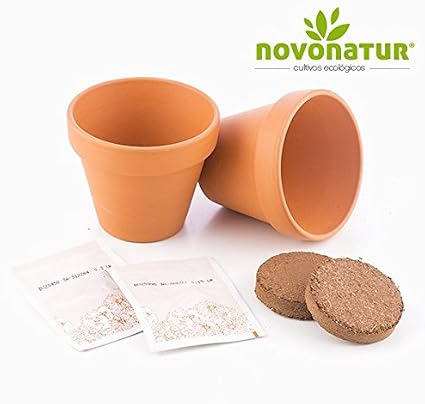 Kit cultivo, kit huerto urbano niños de 2 mini macetas de Pimiento ...
