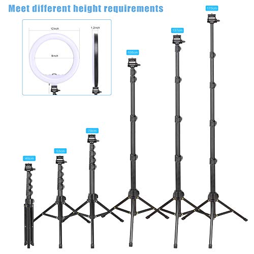 Dimmable Ring Light 12-Inch Led Beauty Photography Fill Light with Foldable Tripod Stand Cellphone Holder for Camera Phone YouTube Live Streaming Self-Portrait Selfie Video Studio Shooting