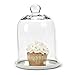 Abbott Collection 27-Carolyn Bell Shaped Glass Cloche, Clear (7