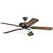 Progress Lighting P2602-20EBWB 2-13-Watt GU24 Fan Light Kit