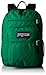 JanSport Big Student Classics Series Backpack - Amazon Green