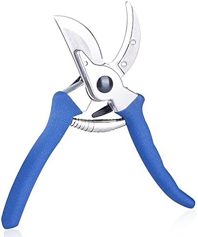 Best Professional Bypass Pruning Shears, Gardening Scissors -Prosshop JA-13-005 (Blue)