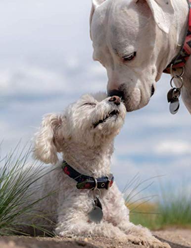 Notebook: dogs poodle white boxer puppy love pet animal cute puppy by Wild Pages Press