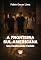 Livro A Fronteira Sul-Americana: Um continente ferido