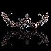 Aukmla Wedding Tiara Crown Vintage Gold Princess Headpiece Flowers Bridal Headbands for Women and Girls