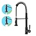 Avola Oil Rubbed Bronze Lead Free Solid Brass Kitchen Sink Mixer Faucet, High Arc Swivel Spring Spout with Dual Function Pull Out and Down Sprayer
