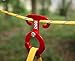T-Ring Hooks (TM), Paracord Tension Camp Hooks, 2-Pack, by Outdoor Use Only (TM) (green)